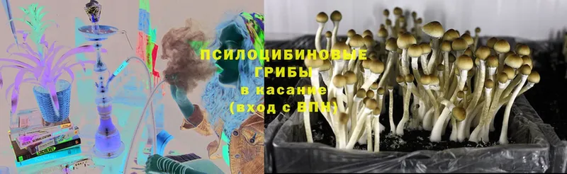 нарко площадка клад  мега ссылки  Коломна  Галлюциногенные грибы MAGIC MUSHROOMS 