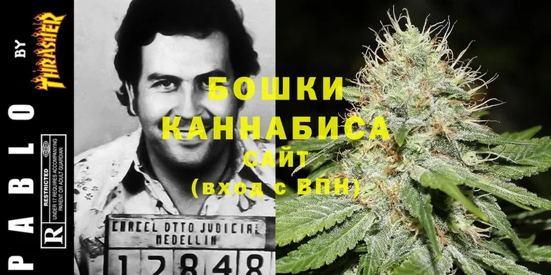 купить наркоту  Коломна  blacksprut ТОР  Конопля LSD WEED 